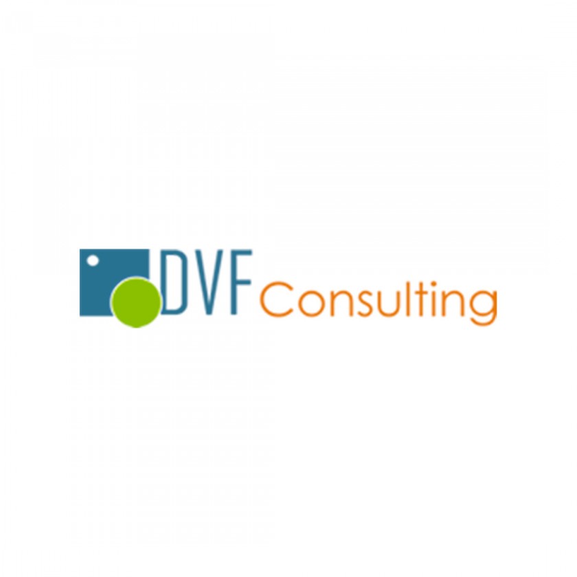 DVF CONSULTING S.r.l